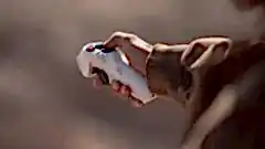 Insta360 Antigravity A1 8K 360 Drone