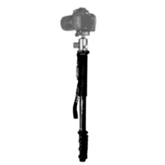 Kingjoy MP408F DSLR Video Kamera Monopod