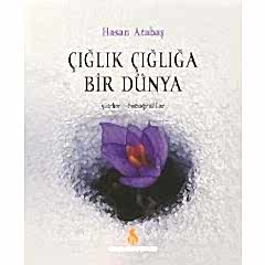 Çığlık Çığlığa Bir Dünya (Hasan Atabaş)